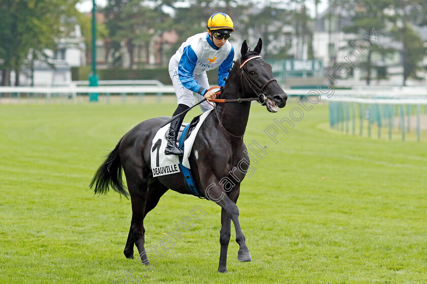 Kalet-0001 
 KALET (E Crublet)
Deauville 3 Aug 2024 - Pic Steven Cargill / Racingfotos.com