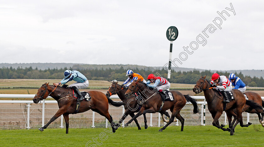 Hortzadar-0002 
 HORTZADAR (James Doyle) beats GIN PALACE (centre) and PLANTADREAM (right) in The Download The Tote Placepot App Handicap
Goodwood 23 Sep 2020 - Pic Steven Cargill / Racingfotos.com