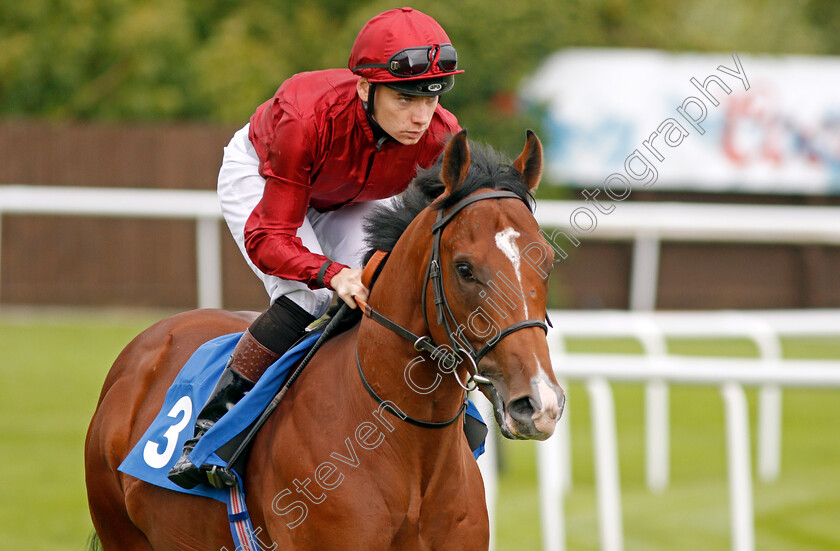 Bottom-Bay-0001 
 BOTTOM BAY (Callum Shepherd)
Leicester 10 Sep 2019 - Pic Steven Cargill / Racingfotos.com