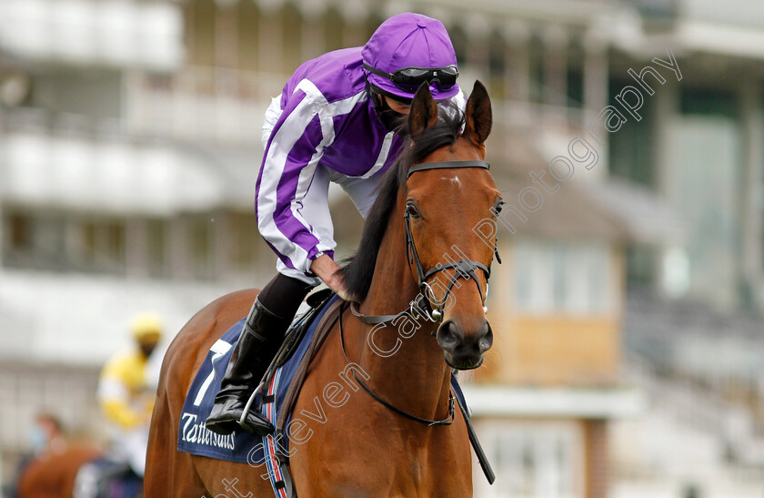 Snowfall-0003 
 SNOWFALL (Ryan Moore) winner of The Tattersalls Musidora Stakes
York 12 May 2021 - Pic Steven Cargill / Racingfotos.com