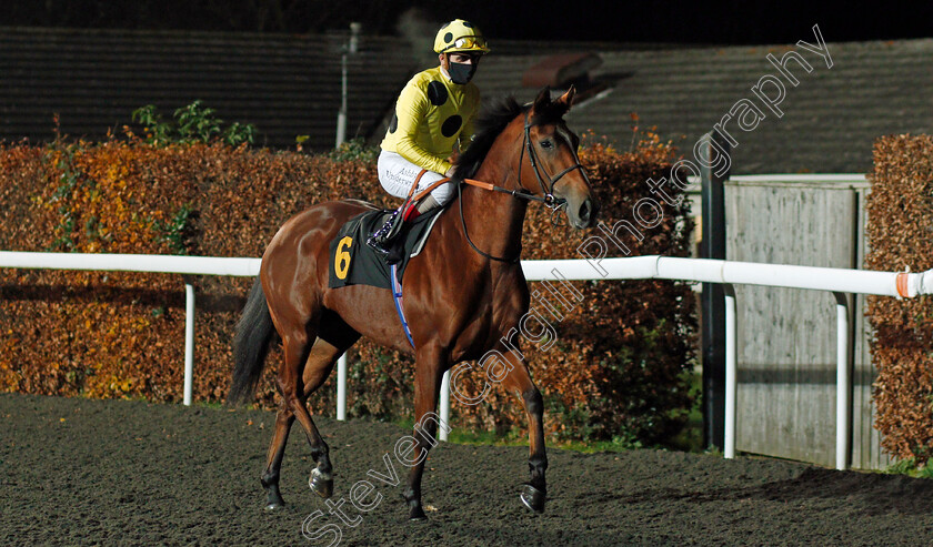 Model-Actress-0001 
 MODEL ACTRESS (Andrea Atzeni)
Kempton 2 Dec 2020 - Pic Steven Cargill / Racingfotos.com