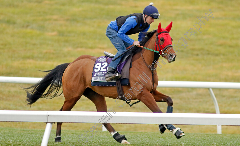 The-Platinum-Queen-0001 
 THE PLATINUM QUEEN training for the Breeders' Cup Juvenile Turf Sprint
Keeneland USA 2 Nov 2022 - Pic Steven Cargill / Racingfotos.com