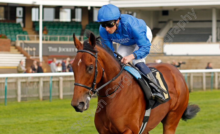 Arabian-Poet-0001 
 ARABIAN POET (William Buick)
Newmarket 23 Oct 2024 - Pic Steven Cargill / Racingfotos.com