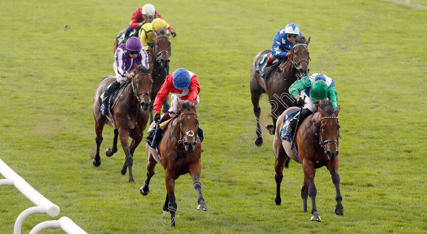 Veracious-0010 
 VERACIOUS (left, Oisin Murphy) beats ONE MASTER (right) in The Tattersalls Falmouth Stakes
Newmarket 12 Jul 2019 - Pic Steven Cargill / Racingfotos.com