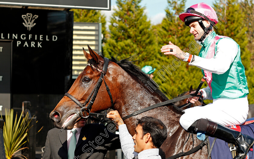 Purser-0008 
 PURSER (Robert Havlin) after The Injured Jockeys Fund EBF Novice Stakes Lingfield 5 Oct 2017 - Pic Steven Cargill / Racingfotos.com