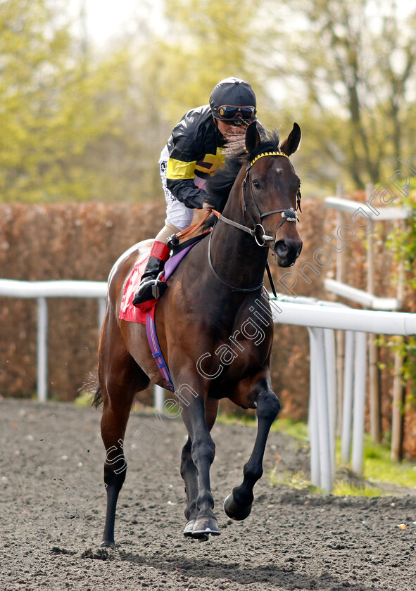 Legend-Of-Leros-0001 
 LEGEND OF LEROS (Andrea Atzeni)
Kempton 10 Apr 2023 - Pic Steven Cargill / Racingfotos.com