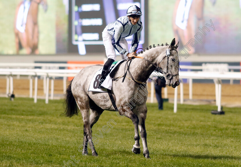 Shelir-0001 
 SHELIR (Daniel Tudhope)
Meydan 3 Feb 2023 - Pic Steven Cargill / Racingfotos.com