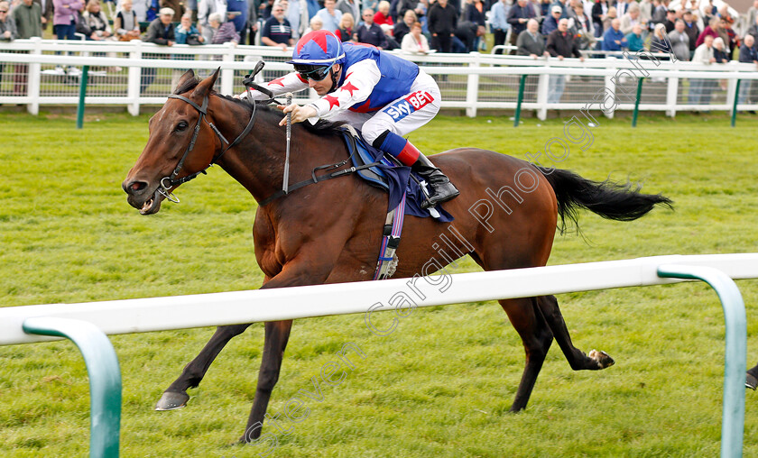 Great-Hall-0004 
 GREAT HALL (Fran Berry) wins The Get On With Dan Hague Handicap Yarmouth 21 Sep 2017 - Pic Steven Cargill / Racingfotos.com