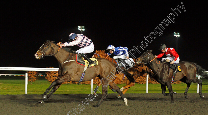 Treacherous-0001 
 TREACHEROUS (Jack Mitchell) wins The 32Red Handicap
Kempton 19 Feb 2020 - Pic Steven Cargill / Racingfotos.com