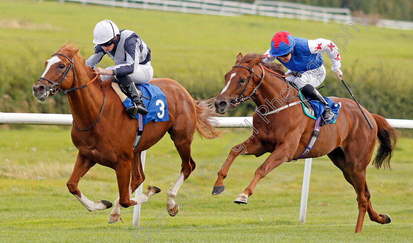 Fantastic-Blue-0005 
 FANTASTIC BLUE (right, Pat Cosgrave) beats DANTE'S VIEW (left) in The Welcomm Communications And Technology Solutions Handicap
Leicester 10 Sep 2019 - Pic Steven Cargill / Racingfotos.com