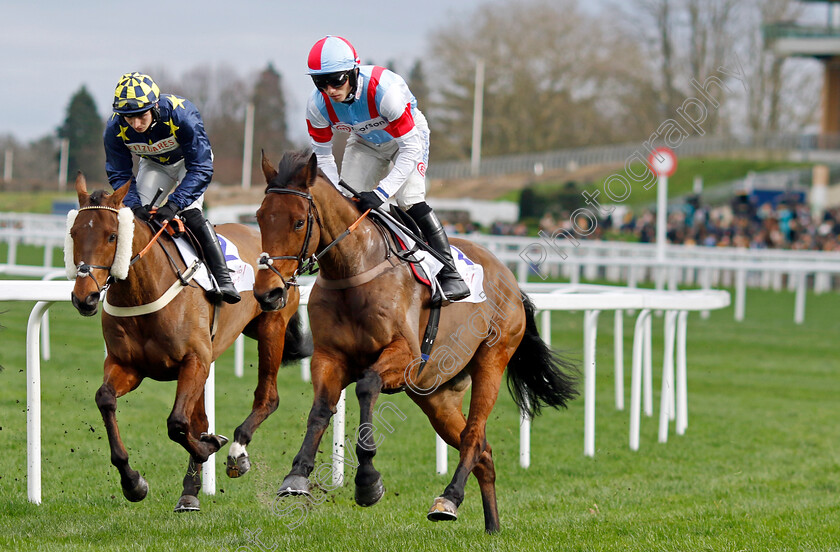 Brave-Kingdom-0001 
 BRAVE KINGDOM (Harry Cobden)
Ascot 17 Feb 2024 - Pic Steven Cargill / Racingfotos.com