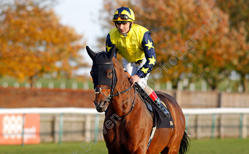 Desert-Encounter 
 DESERT ENCOUNTER (Andrea Atzeni)
Newmarket 30 Oct 2021 - Pic Steven Cargill / Racingfotos.com