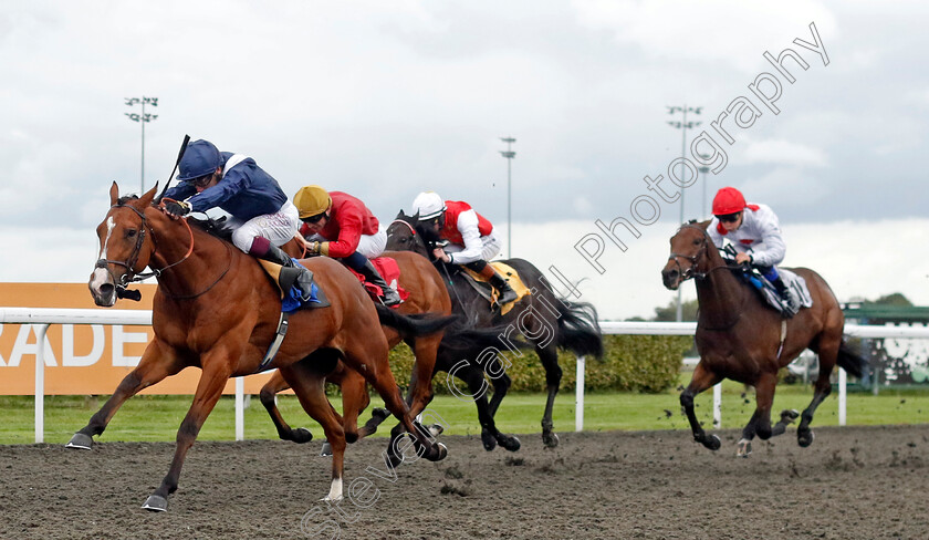 Gallant-0003 
 GALLANT (Oisin Murphy) wins The Polytrack British Stallion Studs EBF Novice Stakes
Kempton 2 Oct 2024 - Pic Steven Cargill / Racingfotos.com