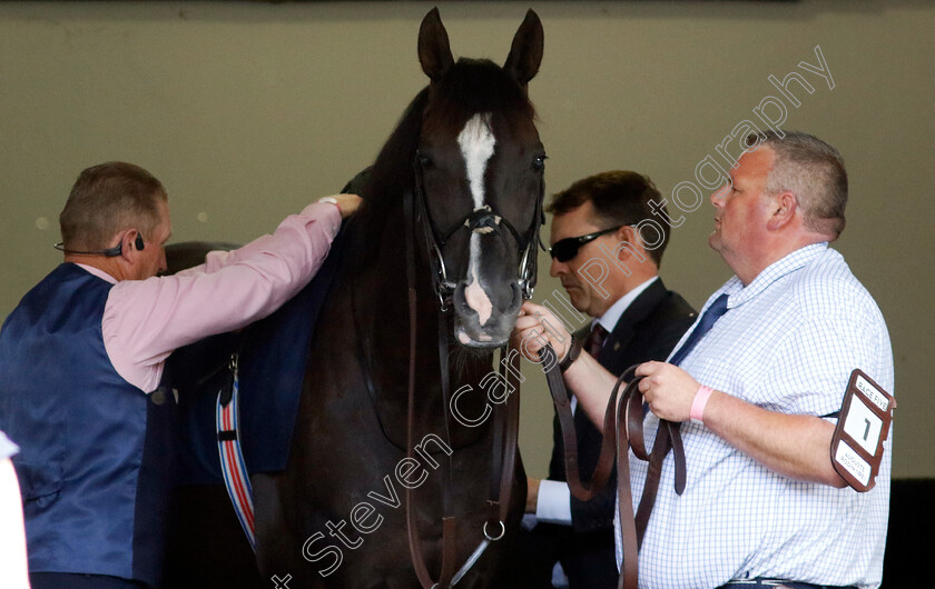 Auguste-Rodin-0001 
 AUGUSTE RODIN with Aidan O'Brien
Ascot 27 Jul 2024 - Pic Steven Cargill / Racingfotos.com