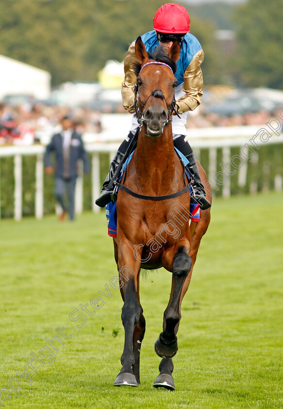 Gregory-0005 
 GREGORY (Kieran Shoemark)
Doncaster 16 Sep 2023 - Pic Steven Cargill / Racingfotos.com