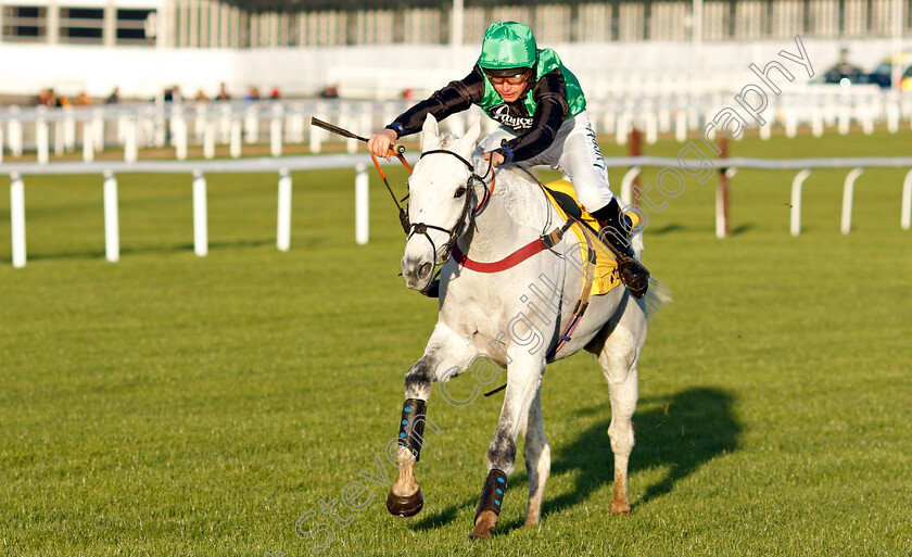 Commodore-0010 
 COMMODORE (Charlie Deutsch) wins The Betfair Handicap Chase
Cheltenham 10 Dec 2021 - Pic Steven Cargill / Racingfotos.com