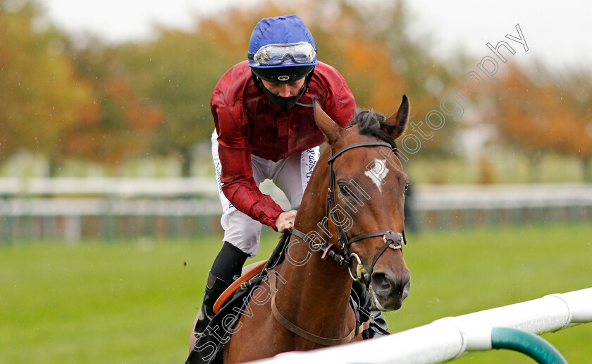 Sunset-Kiss-0001 
 SUNSET KISS (Ray Dawson)
Newmarket 21 Oct 2020 - Pic Steven Cargill / Racingfotos.com