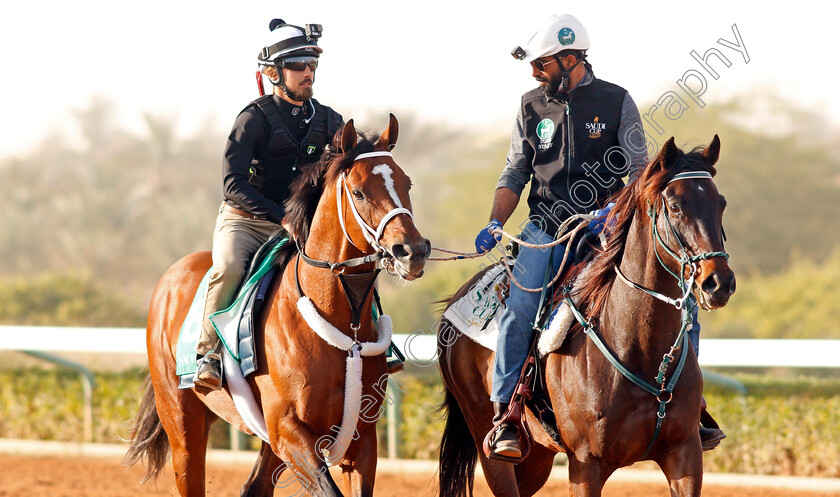 Maximum-Security-0002 
 MAXIMUM SECURITY preparing for The Saudi Cup
Riyadh Racetrack, Kingdom Of Saudi Arabia, 27 Feb 2020 - Pic Steven Cargill / Racingfotos.com