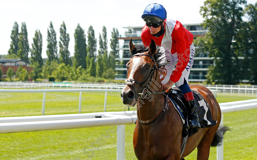 Incumbent-0001 
 INCUMBENT (Adam Kirby)
Newbury 16 Jul 2021 - Pic Steven Cargill / Racingfotos.com