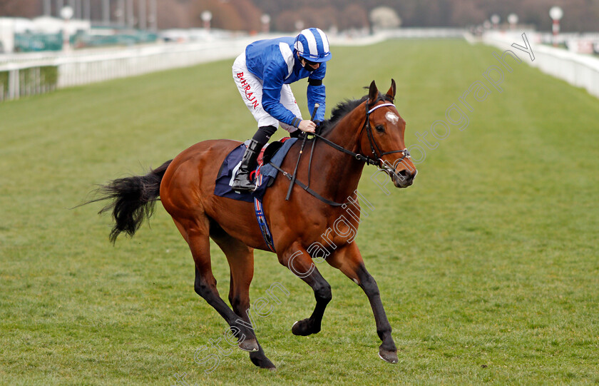 Taqareer-0001 
 TAQAREER (Robert Havlin)
Doncaster 28 Mar 2021 - Pic Steven Cargill / Racingfotos.com