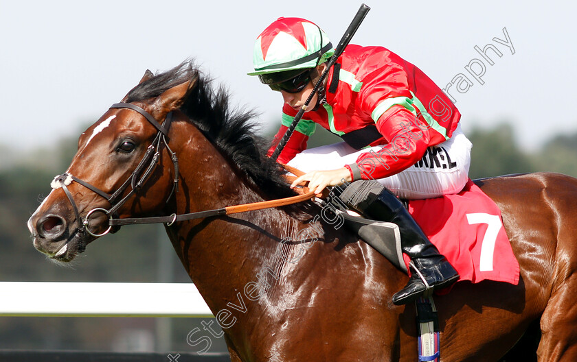 Flying-Dragon-0010 
 FLYING DRAGON (Tom Marquand) wins The Smarkets EBF Novice Stakes
Sandown 19 Sep 2018 - Pic Steven Cargill / Racingfotos.com