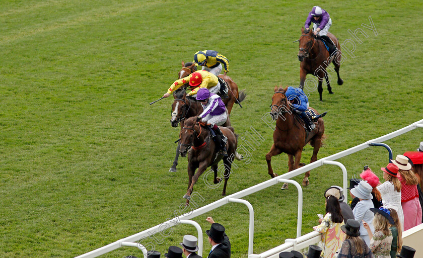 Perotto-0002 
 PEROTTO (Oisin Murphy) wins The Britannia Stakes
Royal Ascot 17 Jun 2021 - Pic Steven Cargill / Racingfotos.com