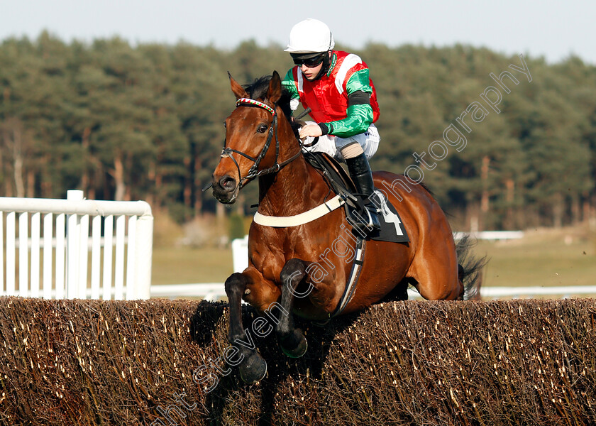 Rooster-Cogburn-0001 
 ROOSTER COGBURN (Sean Bowen) wins The Mansionbet Proud To Support British Racing Handicap Chase
Market Rasen 19 Apr 2021 - Pic Steven Cargill / Racingfotos.com