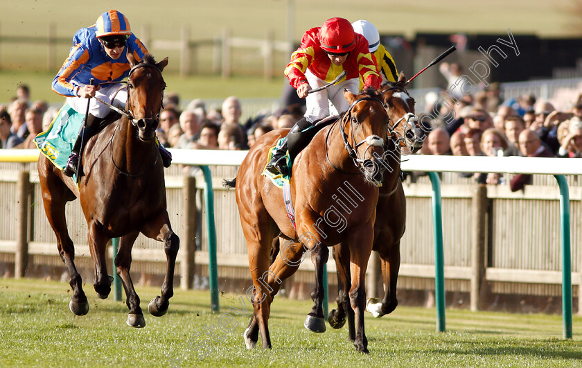 Iridessa-0006 
 IRIDESSA (Wayne Lordan) beats HERMOSA (left) in The bet365 Fillies Mile
Newmarket 12 Oct 2018 - Pic Steven Cargill / Racingfotos.com