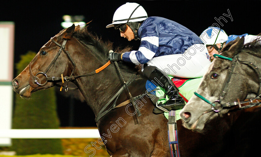 Bird-For-Life-0004 
 BIRD FOR LIFE (Nicola Currie) wins The Racing UK HD Handicap Kempton 8 Nov 2017 - Pic Steven Cargill / Racingfotos.com