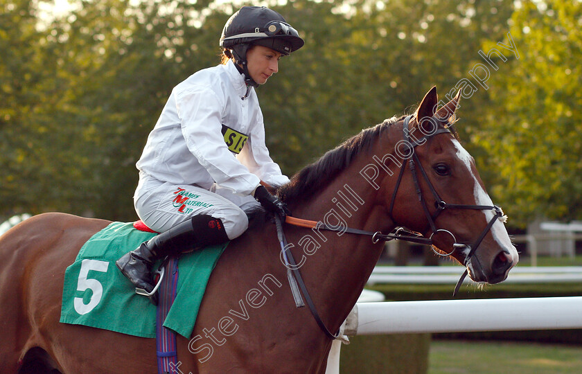 Duke-Of-Alba-0002 
 DUKE OF ALBA (Nicola Currie)
Kempton 29 Aug 2018 - Pic Steven Cargill / Racingfotos.com