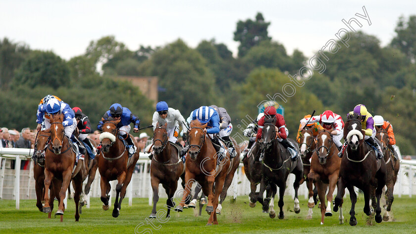 Ginger-Nut-0002 
 GINGER NUT (left, Oisin Murphy) beats MOYASSAR (centre) and RATHBONE (right) in The Sky Bet Nursery
York 22 Aug 2018 - Pic Steven Cargill / Racingfotos.com