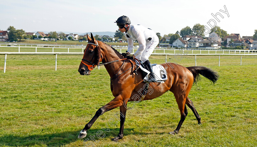 Tiffany-0015 
 TIFFANY (Luke Morris) winner of The T. Von Zastrow Stutenpreis (Group 2)
Baden-Baden 31 Aug 2024 - Pic Steven Cargill / Racingfotos.com