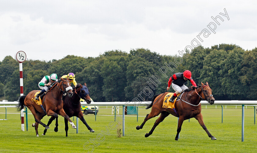 Artistic-Rifles-0001 
 ARTISTIC RIFLES (Andrea Atzeni) wins The Betfair Double Daily Rewards Superior Mile 
Haydock 4 Sep 2021 - Pic Steven Cargill / Racingfotos.com