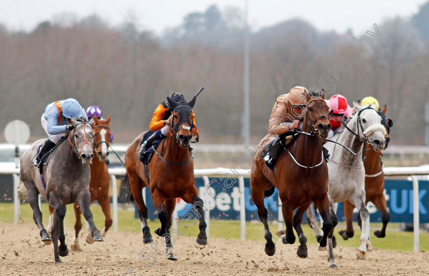 Nine-Tenths-0004 
 NINE TENTHS (2nd right, William Buick) beats MISTY GREY (right) and SHOULDVEBEENARING (left) in The Betmgm Lady Wulfruna Stakes
Wolverhampton 9 Mar 2024 - Pic Steven Cargill / Racingfotos.com