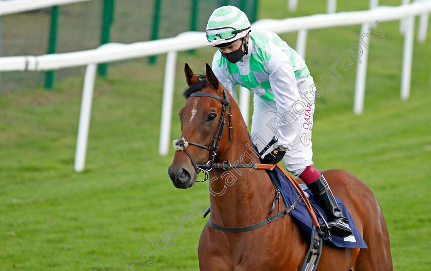 Inaam-0001 
 INAAM (Oisin Murphy)
Yarmouth 25 Aug 2020 - Pic Steven Cargill / Racingfotos.com