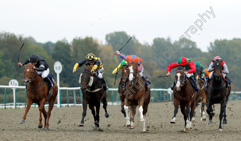 Prominna-0001 
 PROMINNA (centre, Luke Morris) beats ROUNDABOUT MAGIC (left) MERCERS (2nd left) ROY'S LEGACY (2nd right) and SKIP TO MY LOU (right) in The 188bet Casino Handicap
Lingfield 4 Oct 2018 - Pic Steven Cargill / Racingfotos.com