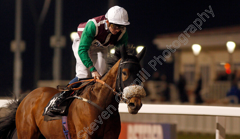 Swiss-Cheer-0004 
 SWISS CHEER (Rob Hornby) wins The Bet toteswinger At totesport.com Handicap
Chelmsford 19 Nov 2019 - Pic Steven Cargill / Racingfotos.com