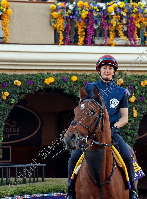 City-Of-Troy-0010 
 CITY OF TROY (Rachel Richardson) training for the Breeders' Cup Classic
Del Mar USA 31 Oct 2024 - Pic Steven Cargill / Racingfotos.com