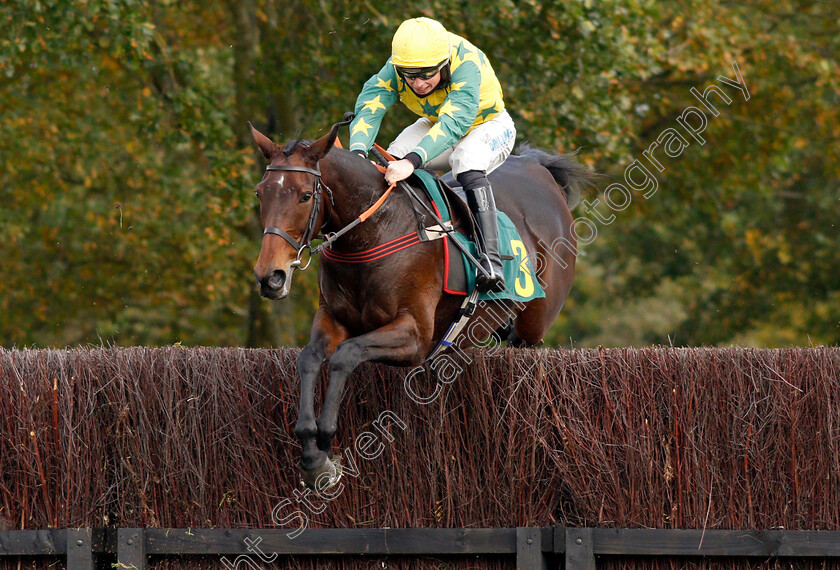 Jubilympics-0001 
 JUBILYMPICS (James Bowen) wins The Sky Sports Racing Mares Novices Handicap Chase
Fakenham 16 Oct 2020 - Pic Steven Cargill / Racingfotos.com