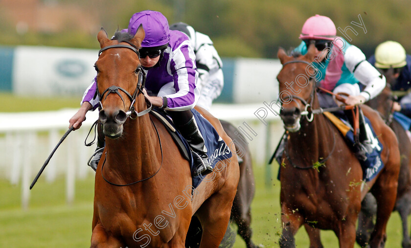 Snowfall-0008 
 SNOWFALL (Ryan Moore) wins The Tattersalls Musidora Stakes
York 12 May 2021 - Pic Steven Cargill / Racingfotos.com