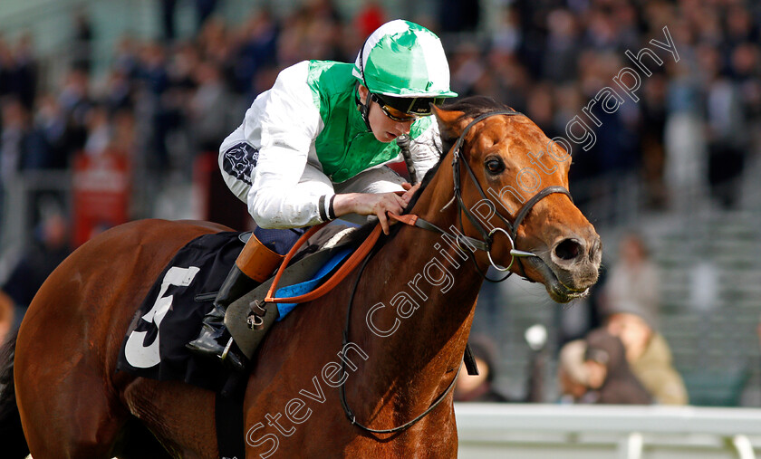 Mountain-Angel-0007 
 MOUNTAIN ANGEL (David Egan) wins The Manny Mercer Apprentice Handicap Ascot 2 May 2018 - Pic Steven Cargill / Racingfotos.com