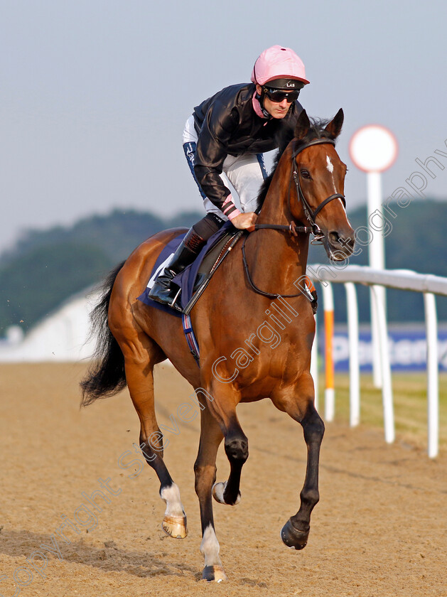 Lower-Street-0002 
 LOWER STREET (Paul Mulrennan)
Newcastle 24 Jun 2022 - Pic Steven Cargill / Racingfotos.com