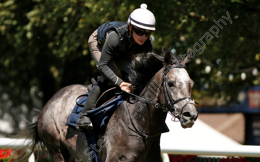 Roaring-Lion-0007 
 ROARING LION (Kieran O'Neill) working on the racecourse
Newmarket 30 Jun 2018 - Pic Steven Cargill / Racingfotos.com