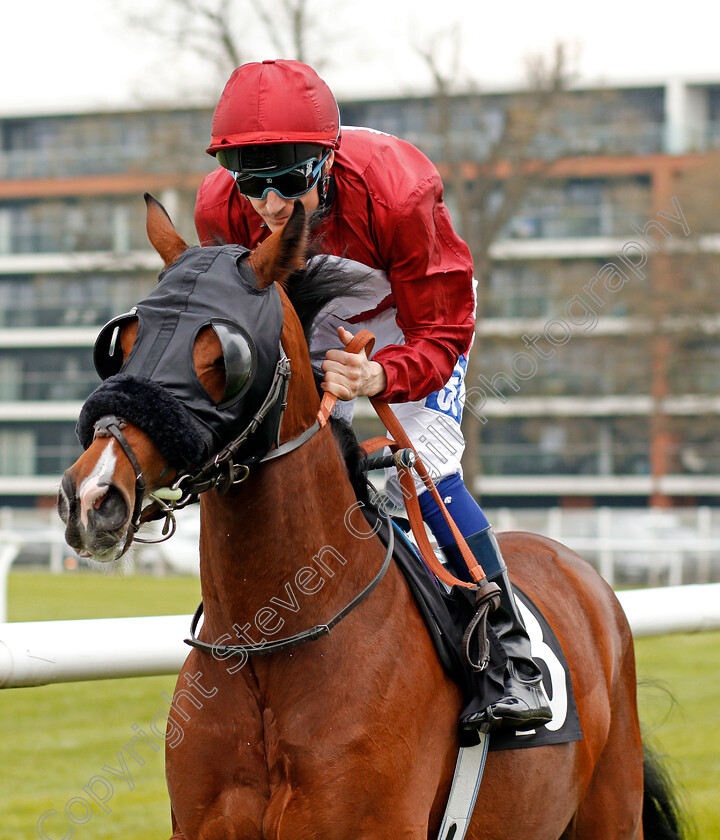 Slipstream-0001 
 SLIPSTREAM (Fran Berry) Newbury 21 Apr 2018 - Pic Steven Cargill / Racingfotos.com