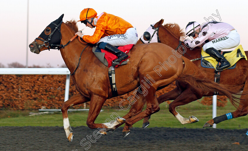 Rajman-0004 
 RAJMAN (David Probert) wins The All Weather Racing Information At sandform.co.uk Handicap
Kempton 4 Dec 2019 - Pic Steven Cargill / Racingfotos.com