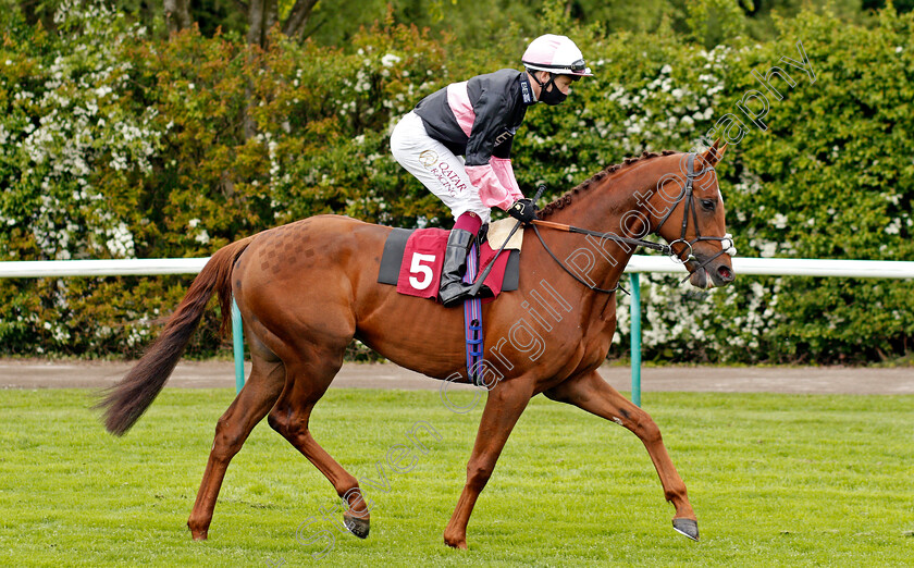 Classic-Lord-0002 
 CLASSIC LORD (Oisin Murphy) winner of The Casumo Proud To Support British Racing Handicap
Haydock 22 May 2021 - Pic Steven Cargill / Racingfotos.com