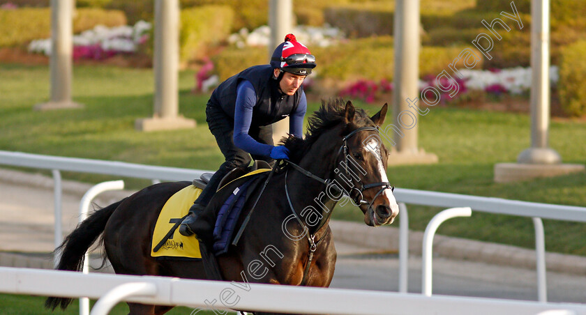 Pyledriver-0003 
 PYLEDRIVER training for the Turf Cup
King Abdulaziz Racetrack, Riyadh, Saudi Arabia 24 Feb 2022 - Pic Steven Cargill / Racingfotos.com