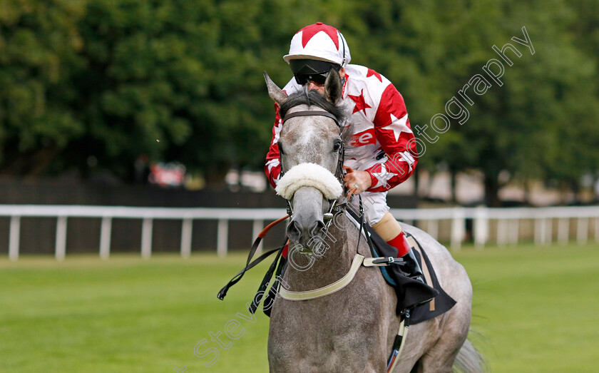 Lethal-Touch 
 LETHAL TOUCH (Jimmy Quinn)
Newmarket 29 Jul 2022 - Pic Steven Cargill / Racingfotos.com