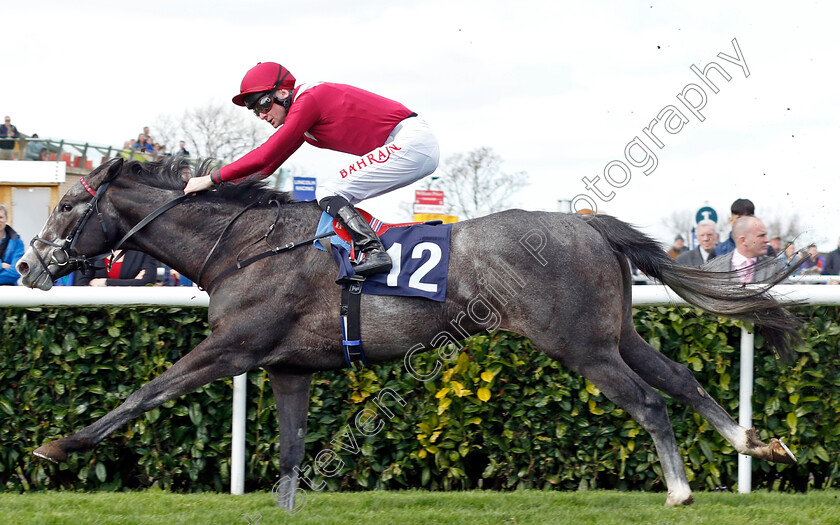 Theoryofeverything-0001 
 THEORYOFEVERYTHING (Robert Havlin) wins The Made In Doncaster St Leger Novice Stakes
Doncaster 2 Apr 2023 - Pic Steven Cargill / Racingfotos.com