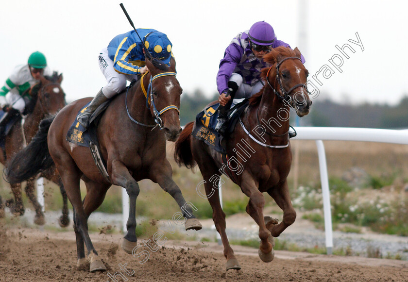 Toutatix-0001 
 TOUTATIX (left, Ulrika Holmquist) beats AL MOUNTEZE MONLAU (right) in The Lill Sham Cup for purebred Arabians
Bro Park, Sweden 21 Sep 2018 - Pic Steven Cargill / Racingfotos.com